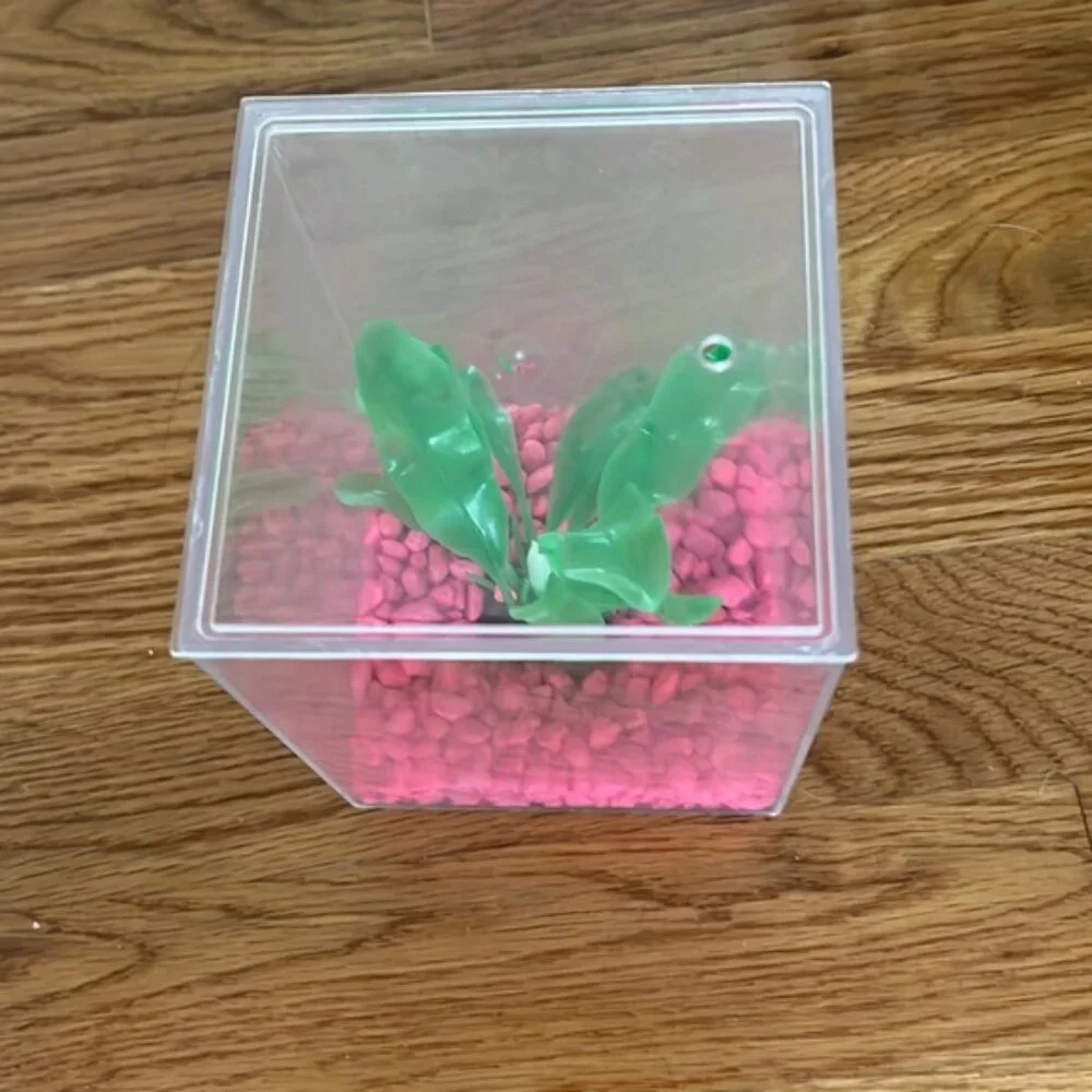 Frog or fish home 4” x 4” (without pink rocks pictured)